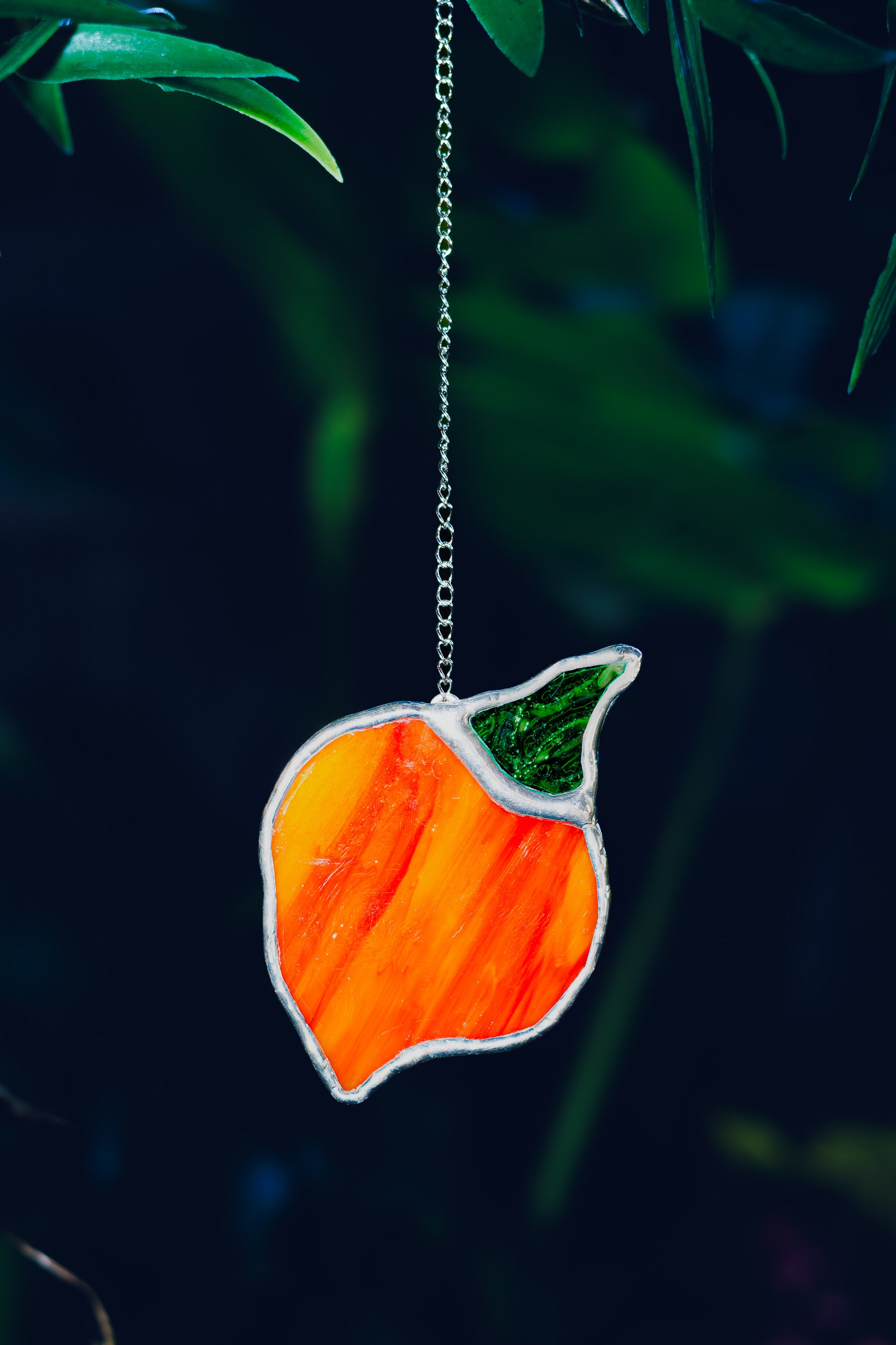 Habenero Pepper
