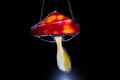 Large Mushroom Suncatcher